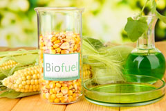 Bracon biofuel availability