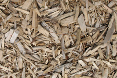 biomass boilers Bracon