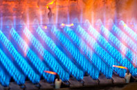 Bracon gas fired boilers